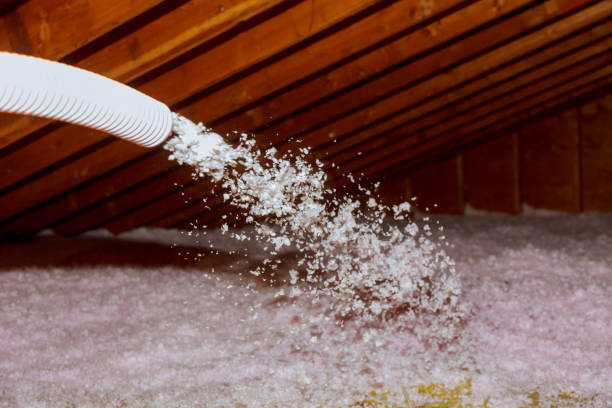 Best DIY Insulation Kits and Guidance in Lytle, TX