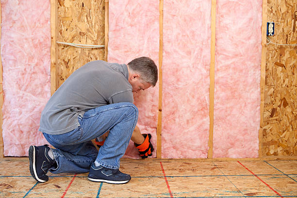 Best Geographic-Specific Insulation Services in Lytle, TX